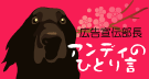 �e�X�g