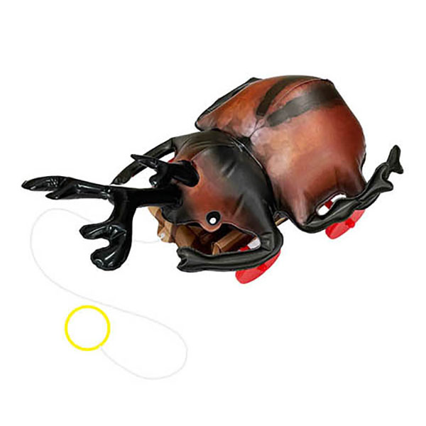 カブトムシ