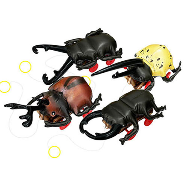 カブト&クワガタ