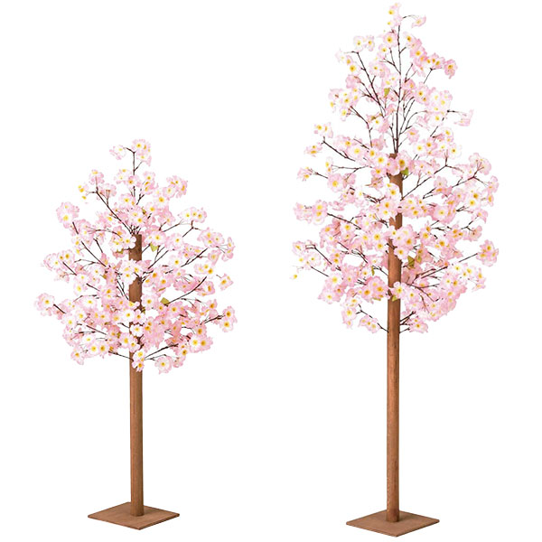 ボリューム桜立ち木