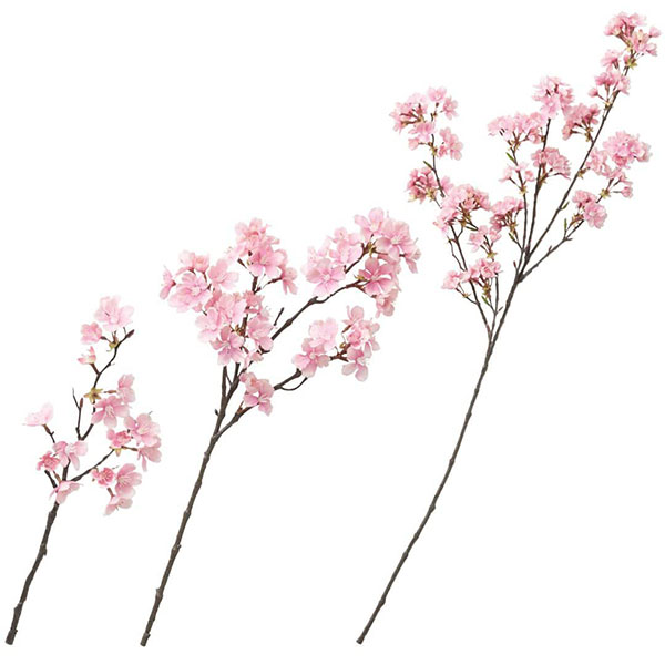 早春山桜