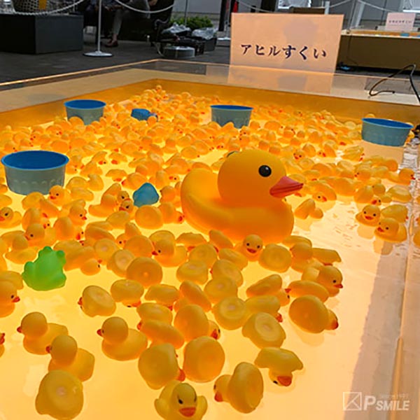 アヒルすくい
