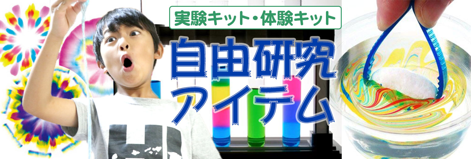 自由研究 実験