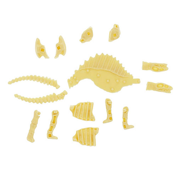 くみたて化石恐竜