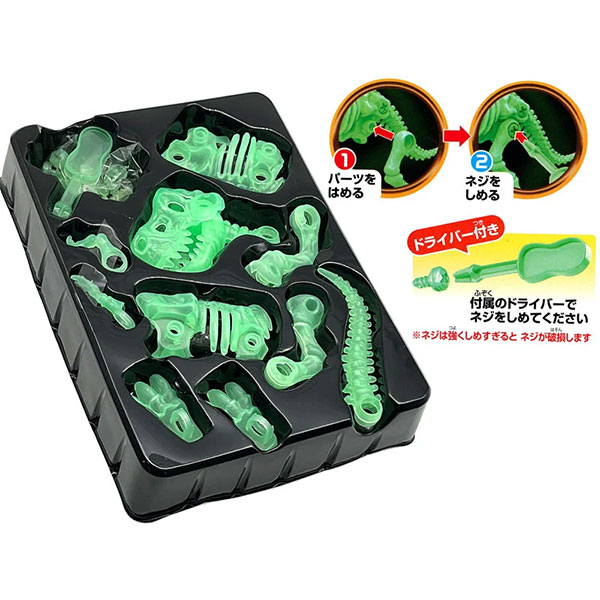光る骨格恐竜