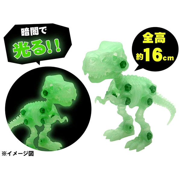 光る骨格恐竜