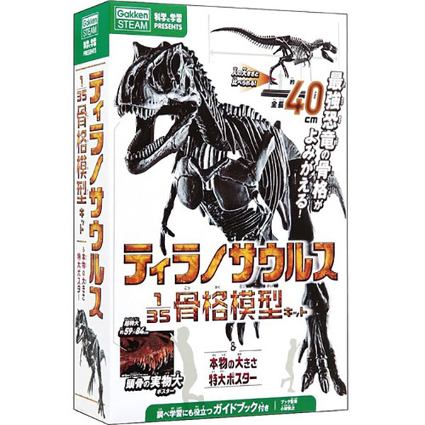 ティラノサウルス骨格模型＆ポスター